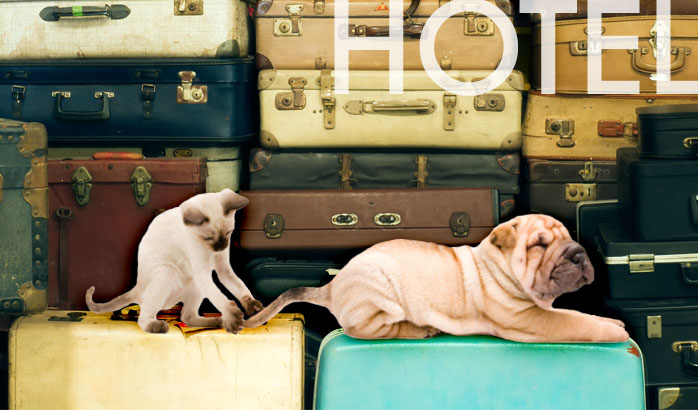 Precious Pets Hotel