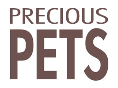 Precious Pets Logo